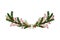 Bright Coniferous Tree Branch and Barberry Arranged in Semicircular Vector Composition