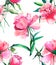 Bright cute tender lovely beautiful wonderful spring floral herbal pink peony with green leaves and buds watercolor hand illustrat