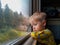 A bright, cute three-year-old boy riding a train looks out the window, behind which a dull landscape sweeps through.