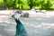 Bright Dashing Curious Guinea Fowl