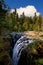 Bright day near the falls - Englishman river falls, Vancouver Island, BC