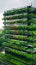 Bright daytime view of vertical farm exterior, emphasizing innovative farming