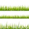 Bright detailed green grass, lush seamless borders on white