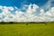 Bright Dramatic Sky Over Green Meadow With Cows.