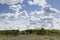 Bright early spring landscape with fluffy clouds in blue sky with sunbeams above green forest and pasture with dry plants.