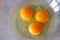 Bright egg yellow yolks in a glass bowl