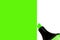 Bright electric fluorescent neon green felt tip pen marker painting large UFO background, isolated vertical copy space macro