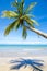 Bright Empty Tropical Beach with Curving Palm Tree