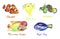 Bright fishes collection. Clownfish, Pufferfish, Mandarin fish, Flowerhorn cichlid fish, Paracanthurus hepatus  hand painted water