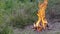 Bright Flaming Bonfire on the River Bank in the Thick Grass. Zoom. Close up