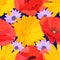 Bright floral seamless pattern of big yellow flowers and red poppies, and delicate lilac daisies on blue background