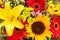 Bright flower bouquet with sunflowers. Nature background