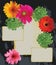 Bright Flowers and old paper on a wood background
