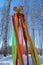 Bright flowing ribbons on the pole in the woods traditional decoration of ancient Russia in the feast of carnival in the spring,