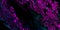 Bright fluid neon light blue purple pink wavy line on black background. Abstract liquid wave. Art trippy glitch backdrop. VR