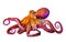 bright fluorescent yellow red multicolored octopus, isolated,cut out