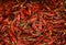 Bright food`s background image full of many countless dry red chili peppers