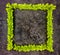 Bright frame of green branches on dark stone background. Top view