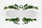 Bright fresh spring abstract figure of white rounded horizontal rectangle form as stripe or search bar with tropical green leaves.