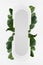Bright fresh spring abstract figure of white rounded vertical rectangle form as stripe or search bar with tropical green leaves.