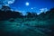 Bright full moon above wilderness area in forest, serenity nature background.