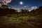 Bright full moon above wilderness area in forest, serenity nature background.