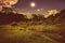 Bright full moon above wilderness area in forest, serenity nature background. Sepia tone.