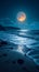 Bright full moon night, serene sea landscape, captivating nocturnal beauty