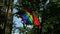 Bright Gay Pride Rainbow Flag NYC