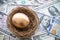 Bright golden egg in nest on US dollar bill cash banknotes background. Rich, wealth, successful from stock dividend
