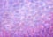 Bright gradient pink-lilac watercolor background with light strokes, banner background with a place to insert