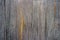 Bright gray  wood texture background