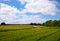 Bright green agriculture farmland