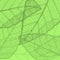 Bright green background with halftone polka dot effect leaf pattern
