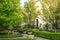 Bright green fresh lawn and trees bring natural beauty to residential homes area