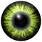 bright green human eye with middle pupil and dark retina. Dark colorful iris around pupil, detail view into eye bulb.