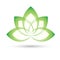 Bright green lotus flower logo, vector illustration