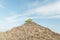 Bright green parrot holds a piece of bread in the beak sitting on a roof from of dry grass on a background a blue sky with clouds