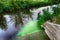 Bright green polluted effluent flowing into a pristine waterway