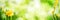 Bright green spring panorama background