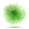 Bright green spring transparent watercolor vector stain isolated on white background.