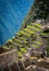 Bright green terraces of Machu Picchu