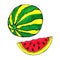 Bright illustration of a watermelon.