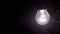 Bright Incandescent Light Bulb Illuminates the Falling Snow in the Dark