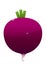 Bright juicy beet cartoon over white background