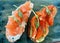 bright, juicy bruschetta from red fish and greens. delicious red fish, beautifully laid on fresh bread and seasoned with