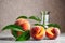 Bright juicy peaches, green leaves and halves of peaches on a gray background. Composition of peaches and glass vase