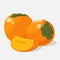 Bright juicy persimmon on grey background. Sweet delicious for your design in cartoon style. Vector illustration. Fruit