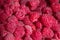 Bright juicy tasty berry raspberries, from diseases and colds, raspberry jam to eat in winter for immunity