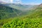 Bright landscape of the Glacier National Park